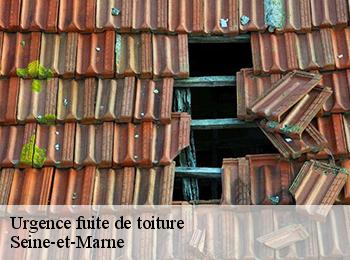 Urgence fuite de toiture