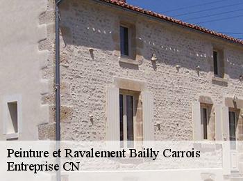 Peinture et Ravalement bailly-carrois-77720 Entreprise CN