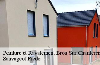 Peinture et Ravalement brou-sur-chantereine-77177 Sauvageot Fredo
