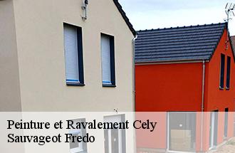 Peinture et Ravalement cely-77930 Sauvageot Fredo