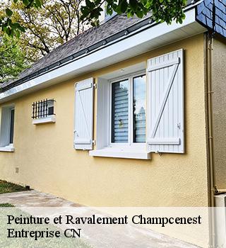 Peinture et Ravalement 77560
