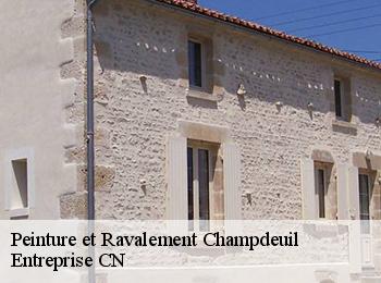 Peinture et Ravalement champdeuil-77390 Entreprise CN