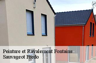 Peinture et Ravalement  fontains-77370 Sauvageot Fredo