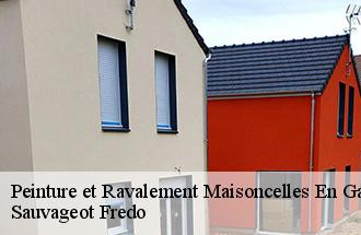 Peinture et Ravalement maisoncelles-en-gatinais-77570 Sauvageot Fredo