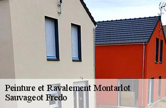 Peinture et Ravalement montarlot-77250 Sauvageot Fredo