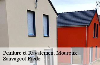 Peinture et Ravalement  mouroux-77120 Sauvageot Fredo