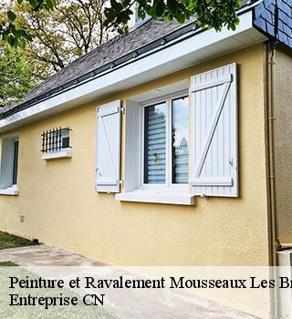 Peinture et Ravalement 77480