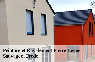 Peinture et Ravalement pierre-levee-77580 Sauvageot Fredo