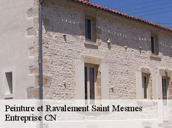 Peinture et Ravalement  saint-mesmes-77410 Entreprise CN