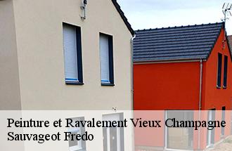 Peinture et Ravalement vieux-champagne-77370 Sauvageot Fredo